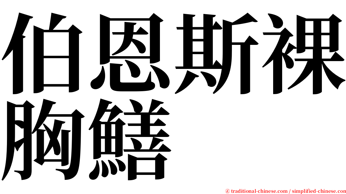 伯恩斯裸胸鱔 serif font