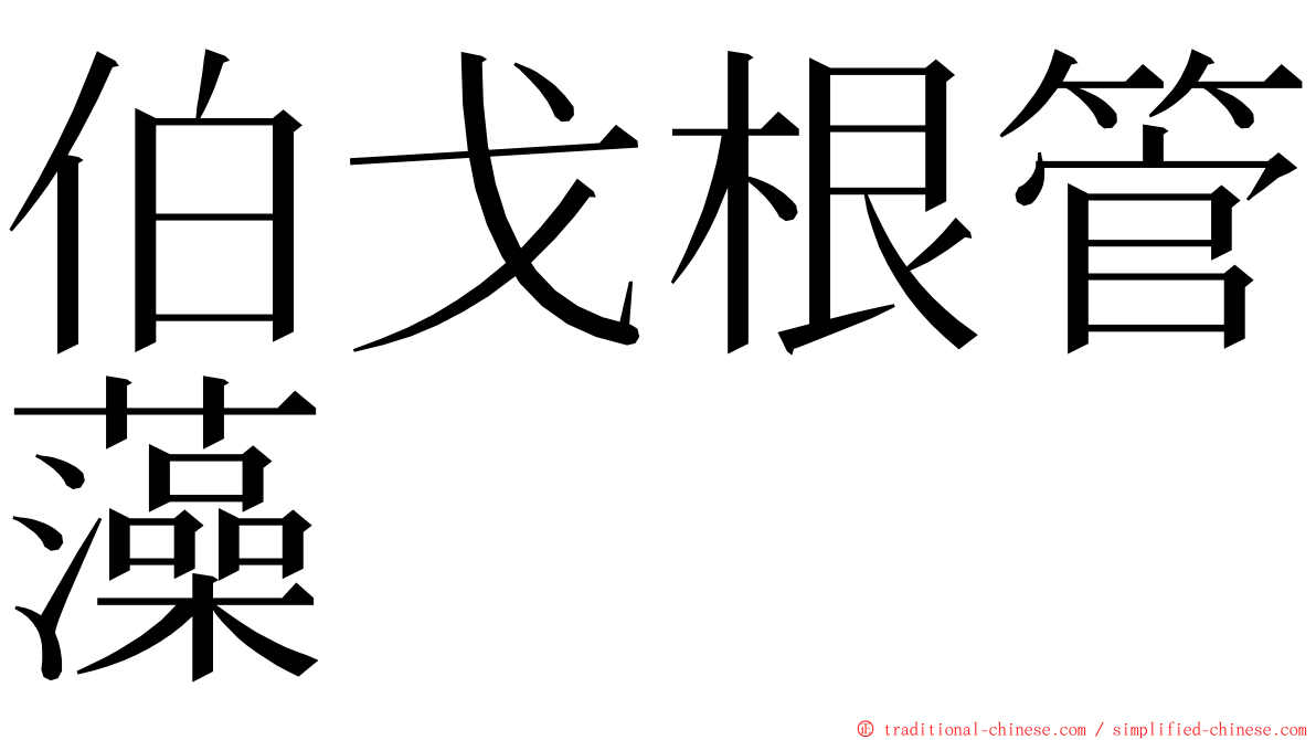 伯戈根管藻 ming font