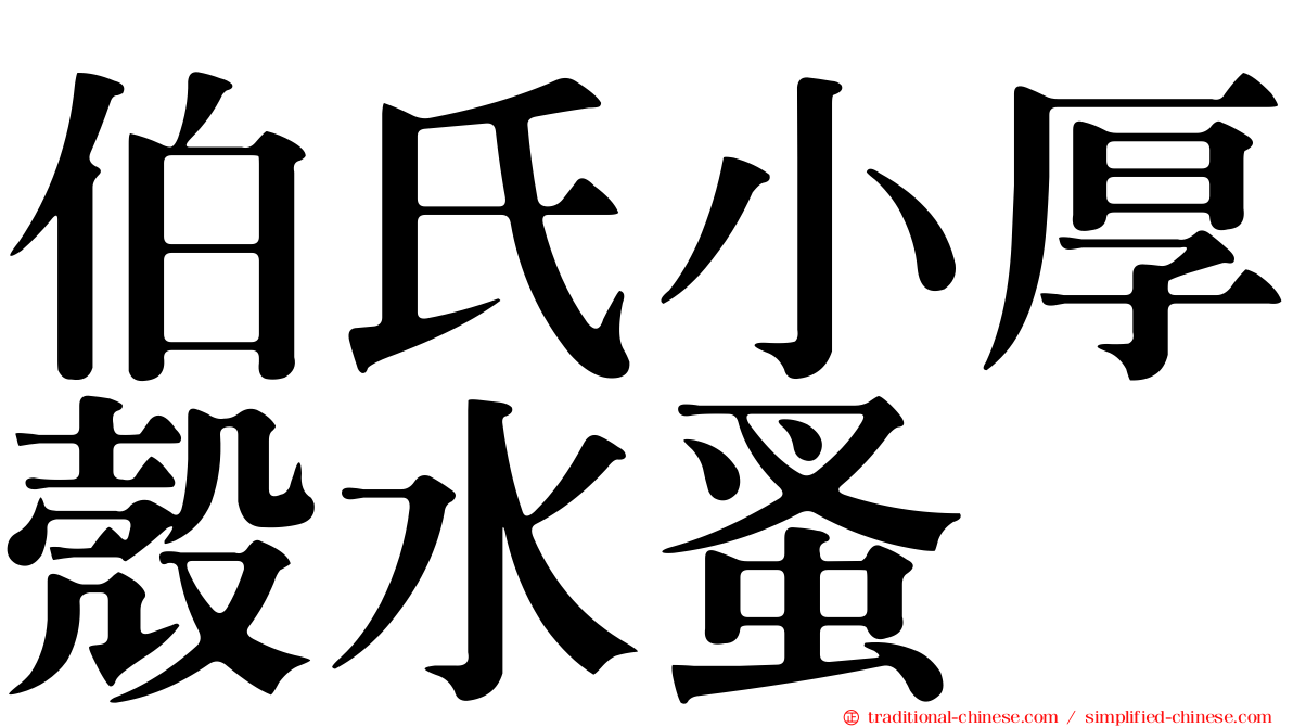 伯氏小厚殼水蚤