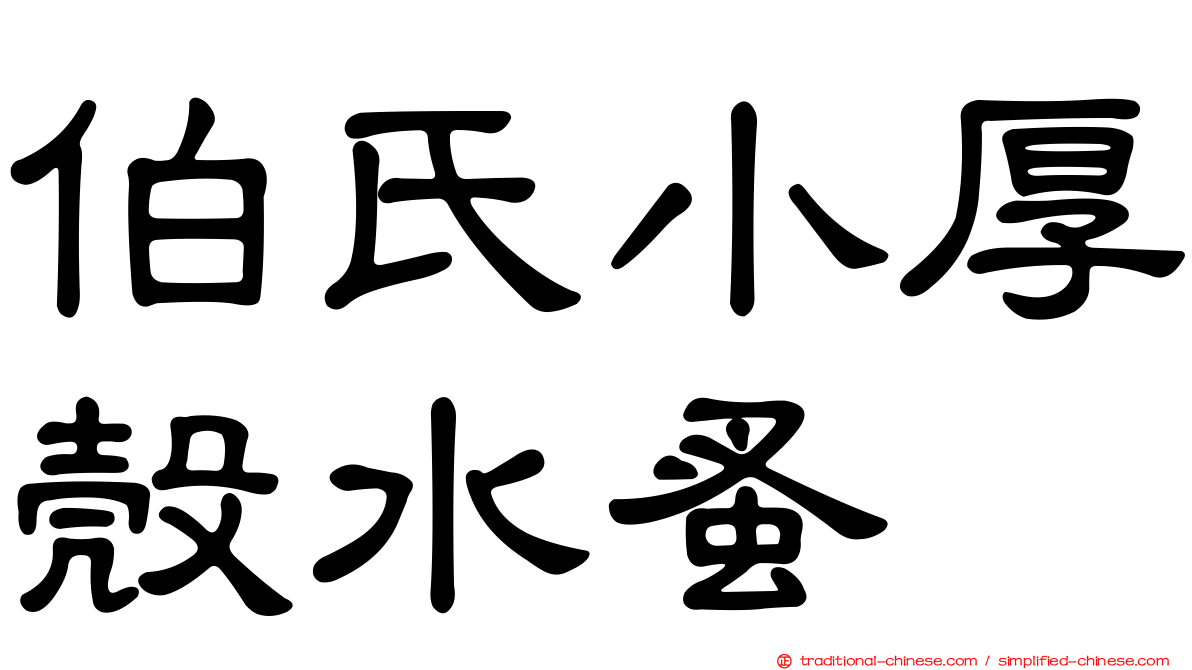 伯氏小厚殼水蚤