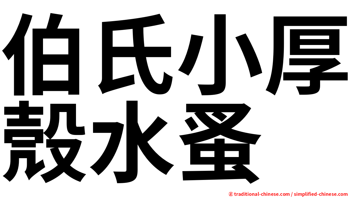 伯氏小厚殼水蚤