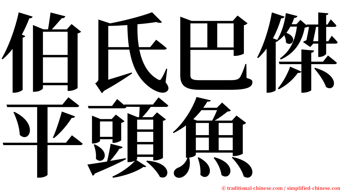 伯氏巴傑平頭魚 serif font