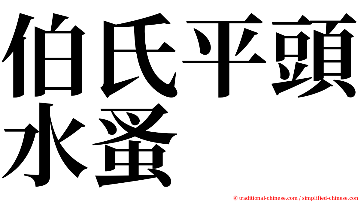 伯氏平頭水蚤 serif font