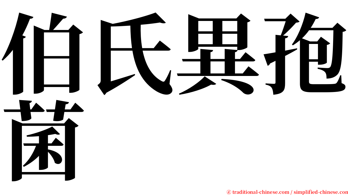 伯氏異孢菌 serif font