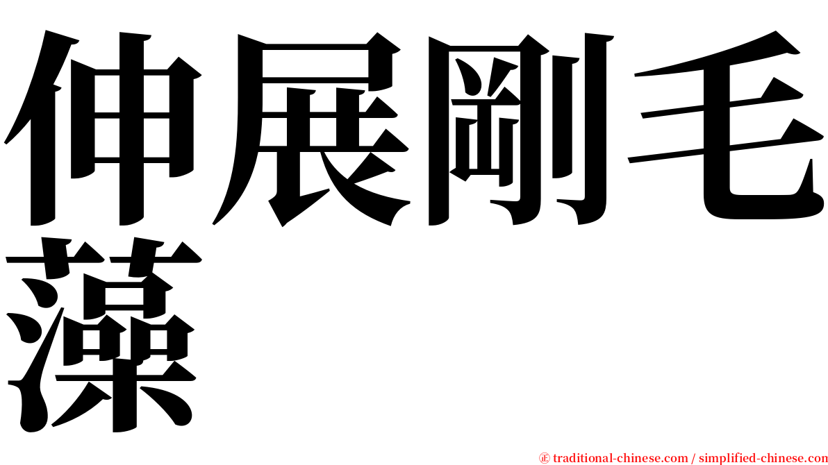 伸展剛毛藻 serif font