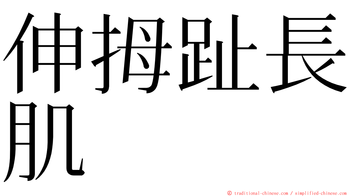 伸拇趾長肌 ming font