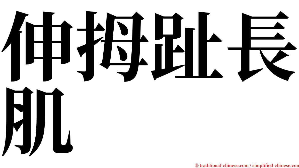 伸拇趾長肌 serif font