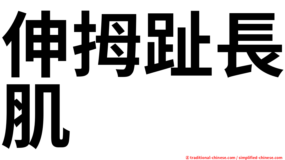 伸拇趾長肌