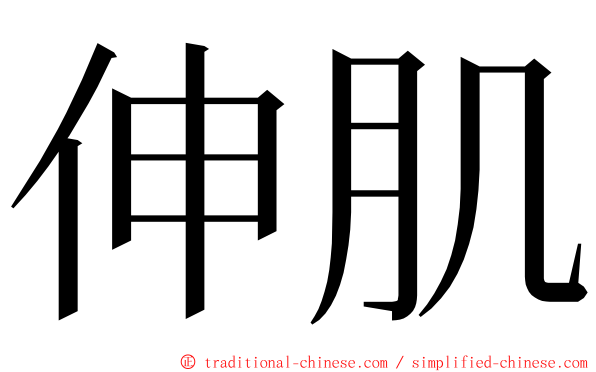 伸肌 ming font