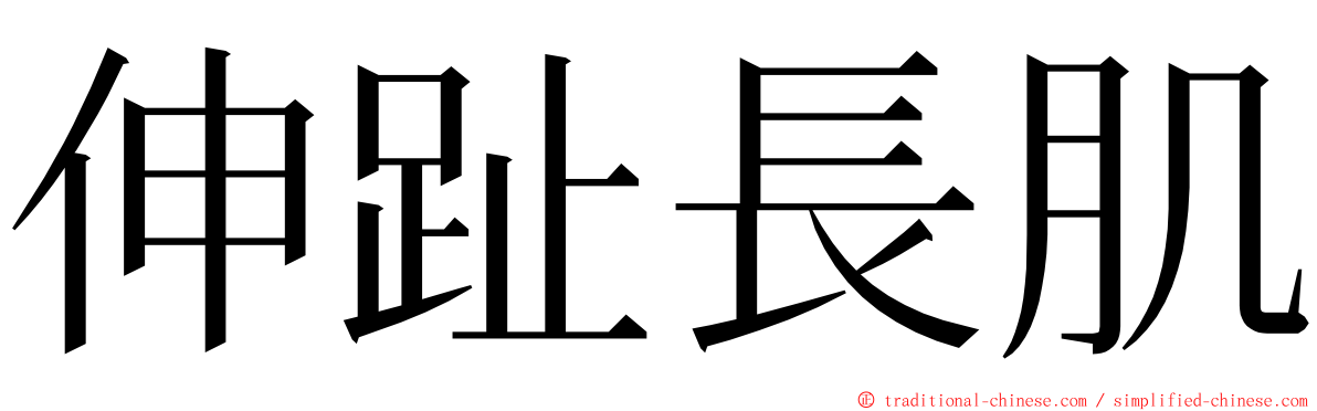 伸趾長肌 ming font