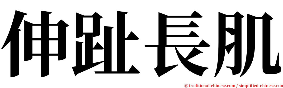 伸趾長肌 serif font