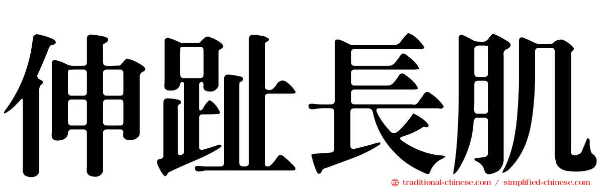 伸趾長肌