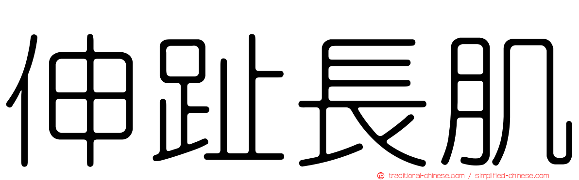 伸趾長肌