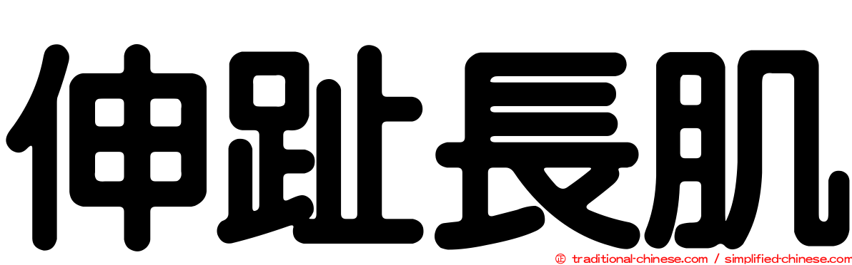 伸趾長肌
