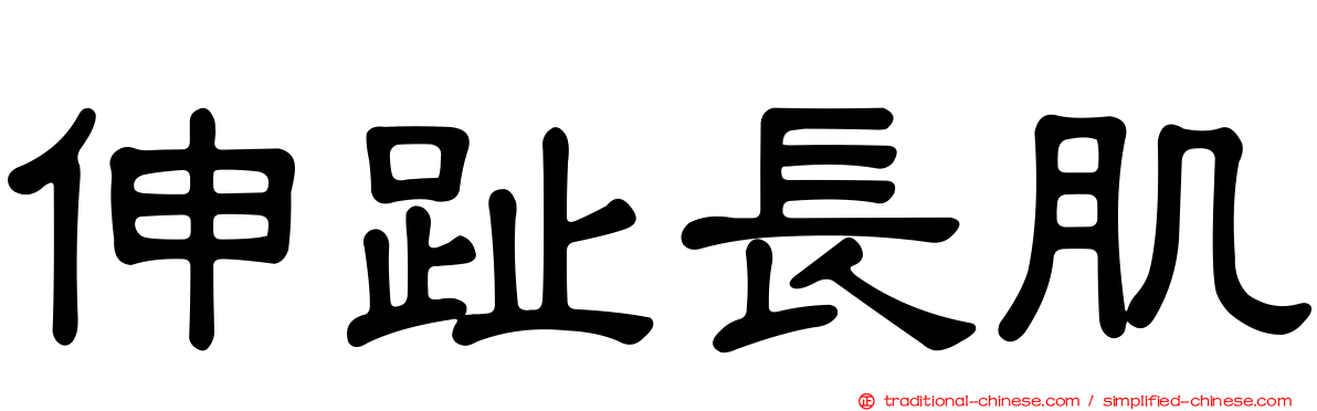 伸趾長肌