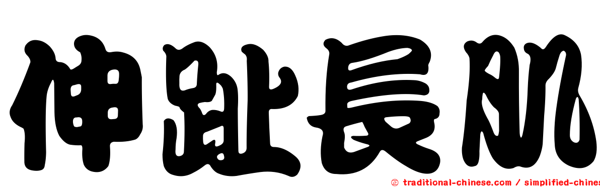 伸趾長肌