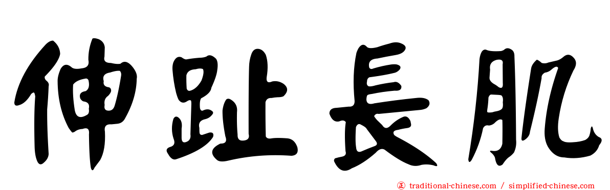 伸趾長肌