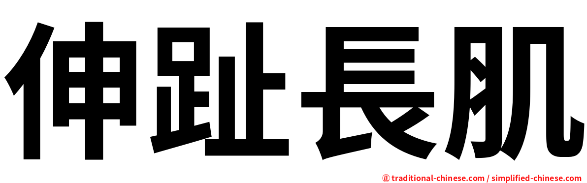 伸趾長肌
