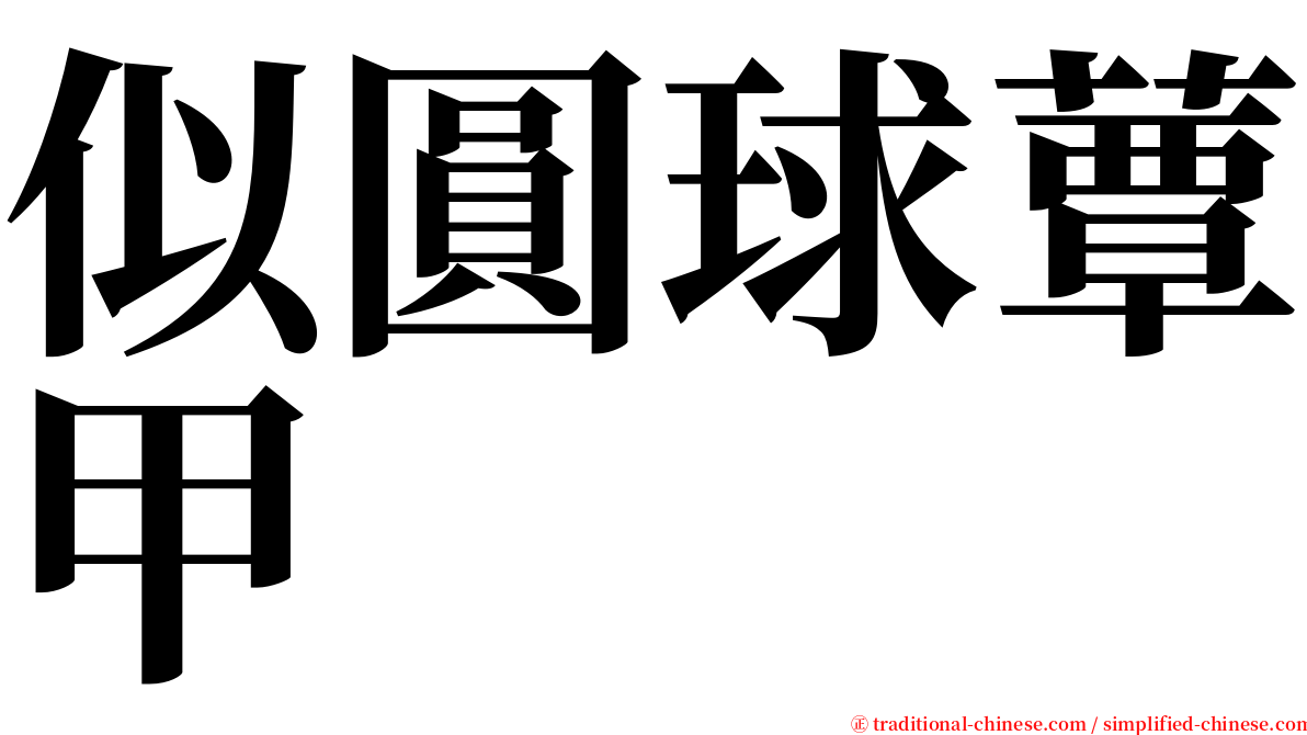 似圓球蕈甲 serif font