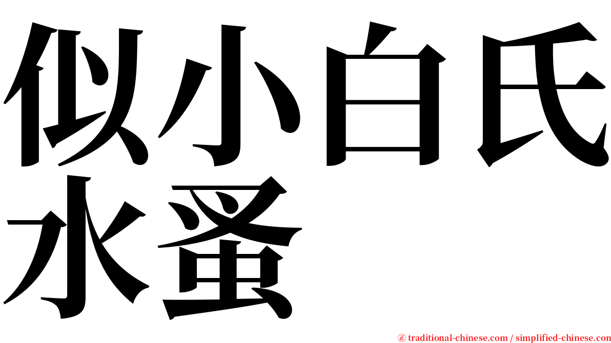 似小白氏水蚤 serif font