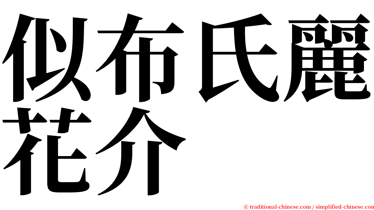 似布氏麗花介 serif font