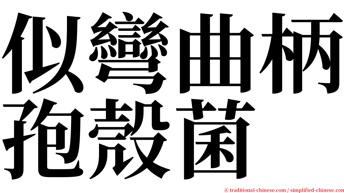 似彎曲柄孢殼菌 serif font