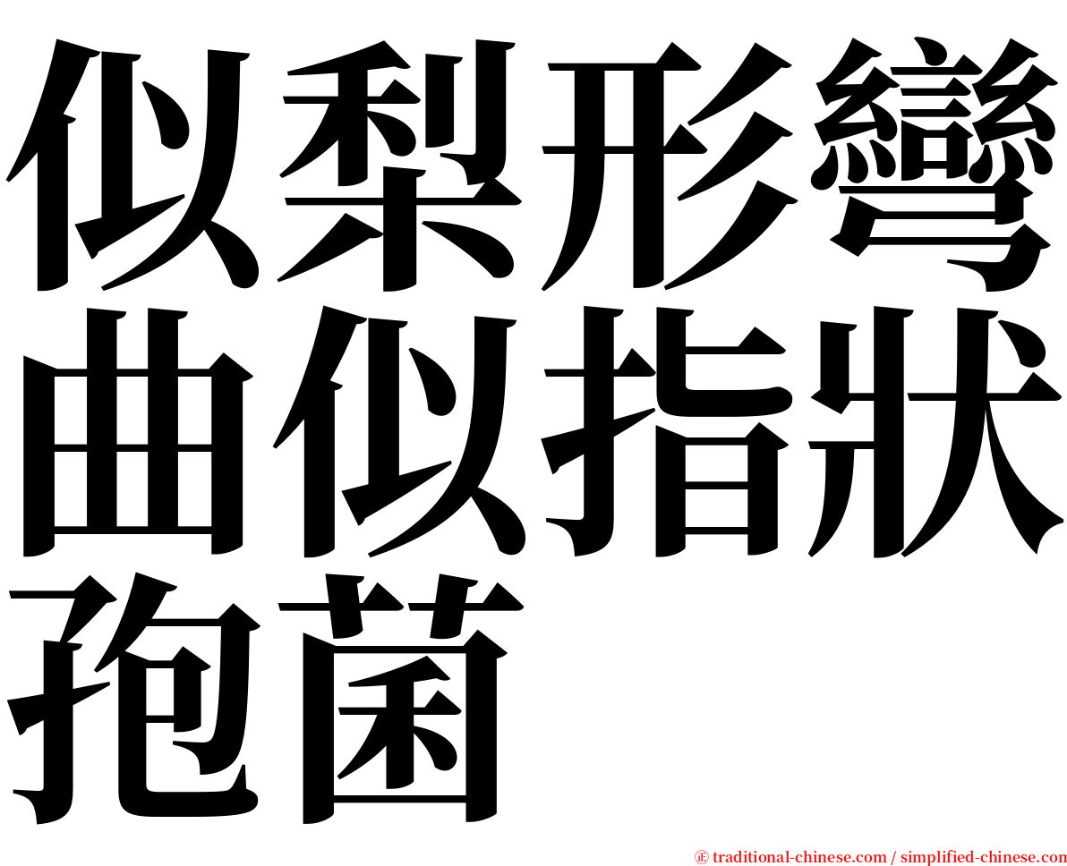 似梨形彎曲似指狀孢菌 serif font