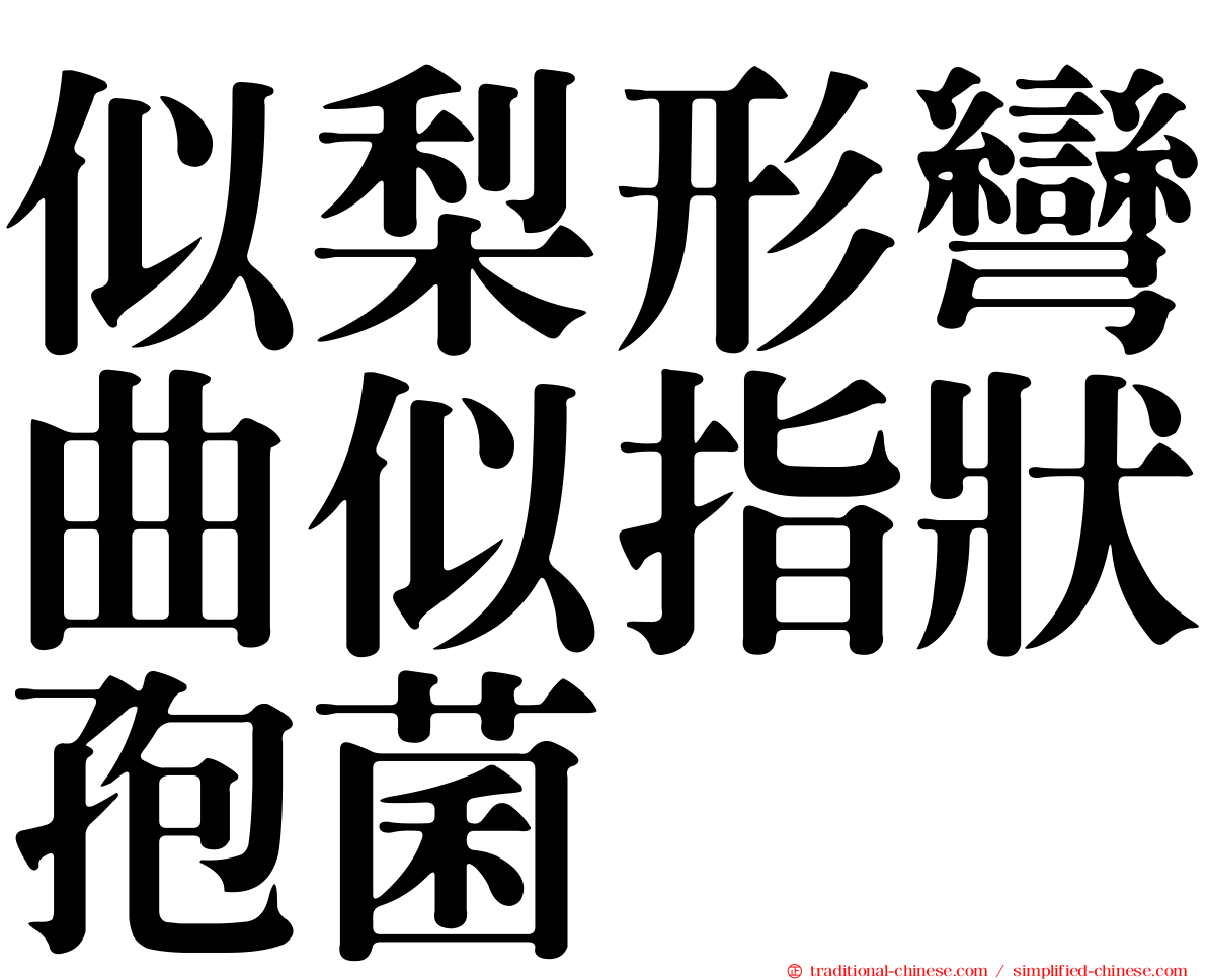 似梨形彎曲似指狀孢菌