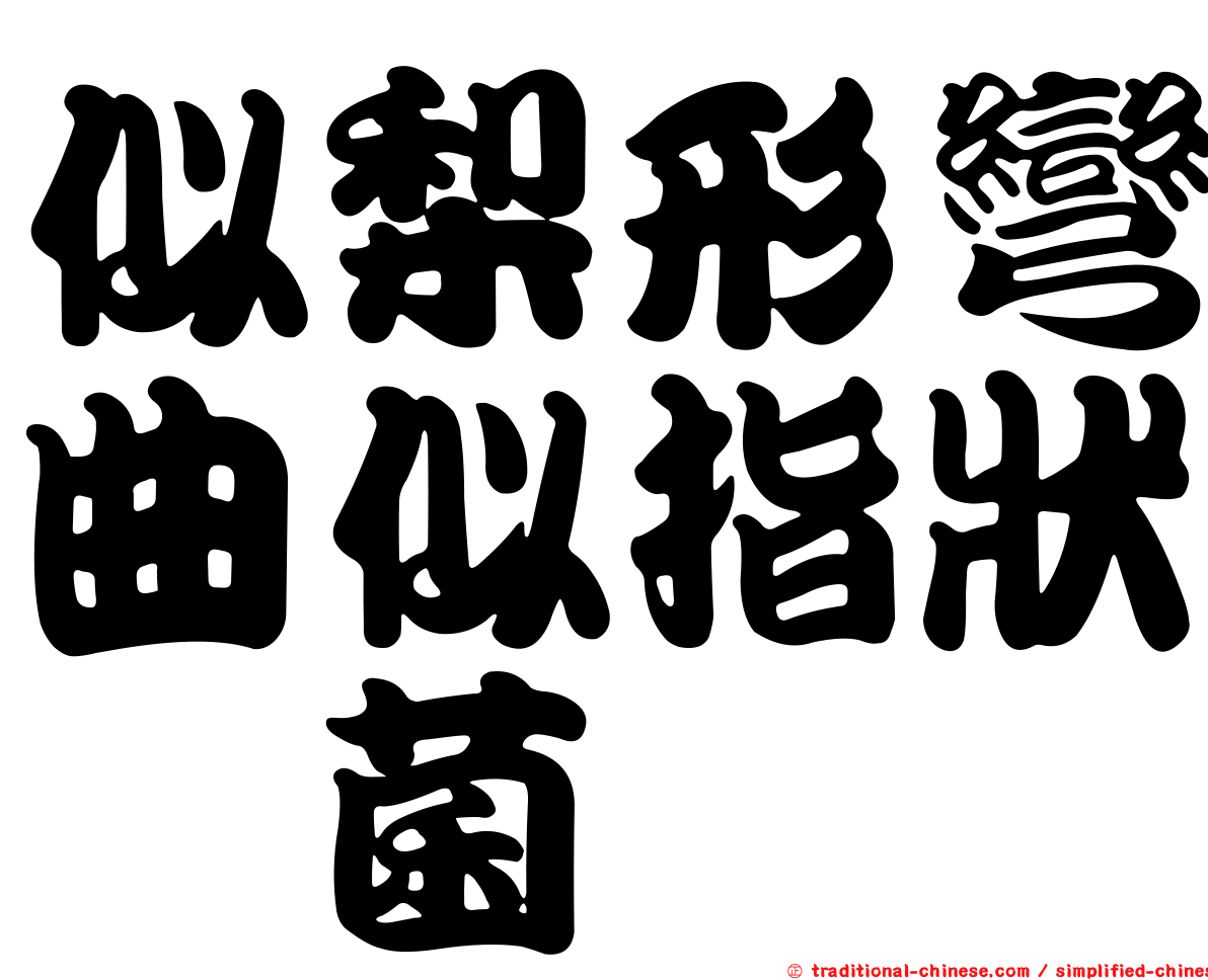 似梨形彎曲似指狀孢菌