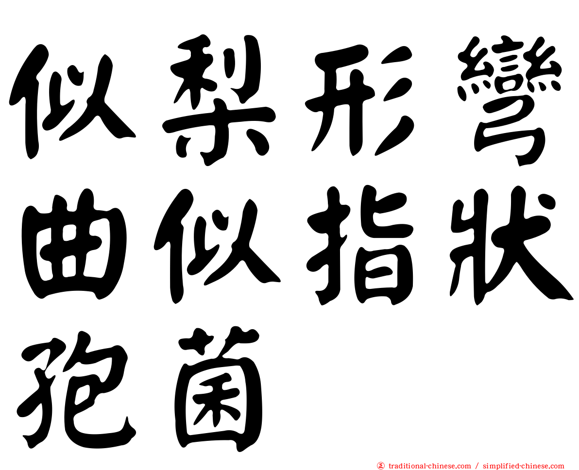 似梨形彎曲似指狀孢菌