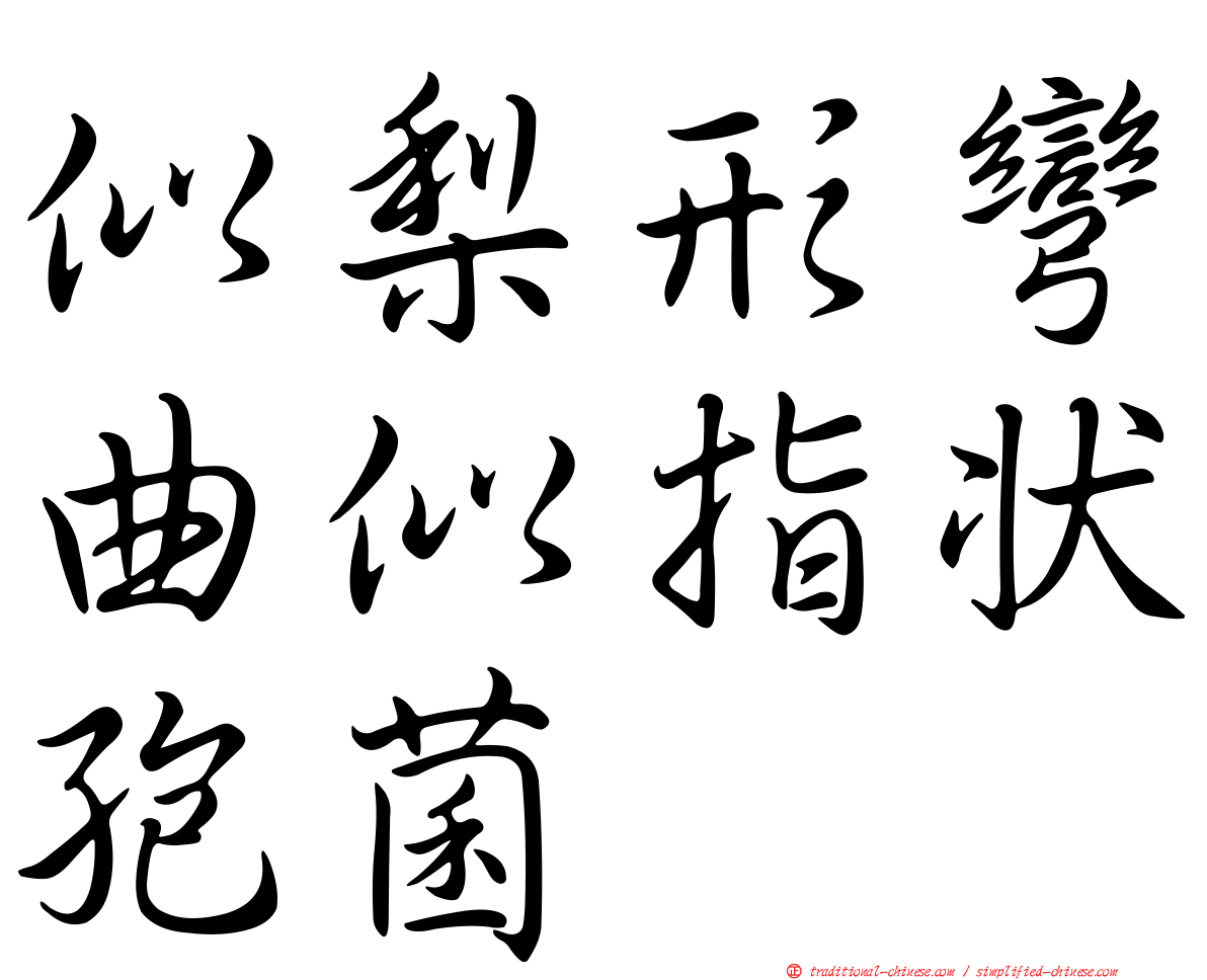 似梨形彎曲似指狀孢菌