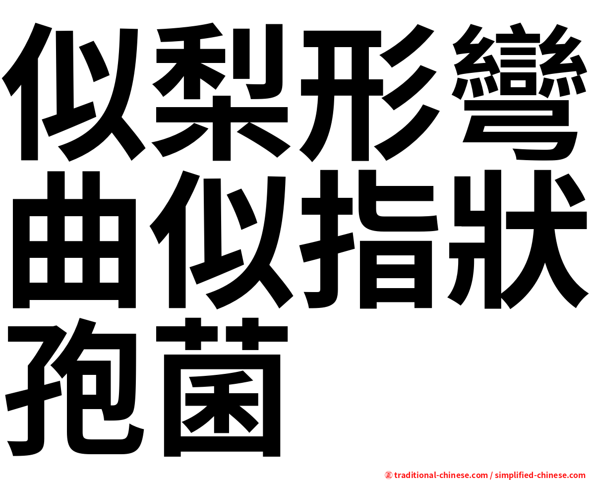 似梨形彎曲似指狀孢菌