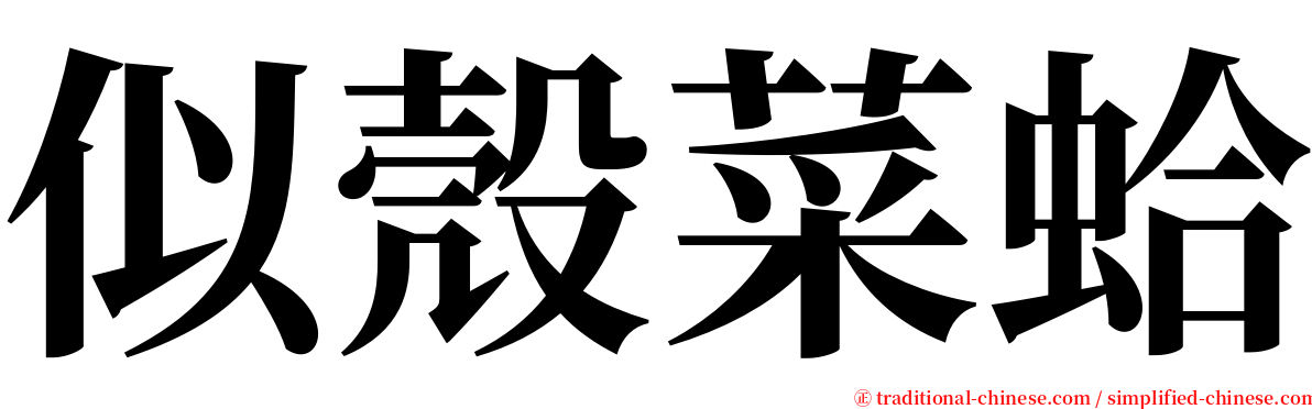 似殼菜蛤 serif font