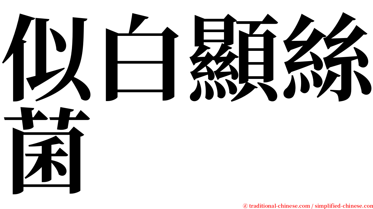 似白顯絲菌 serif font