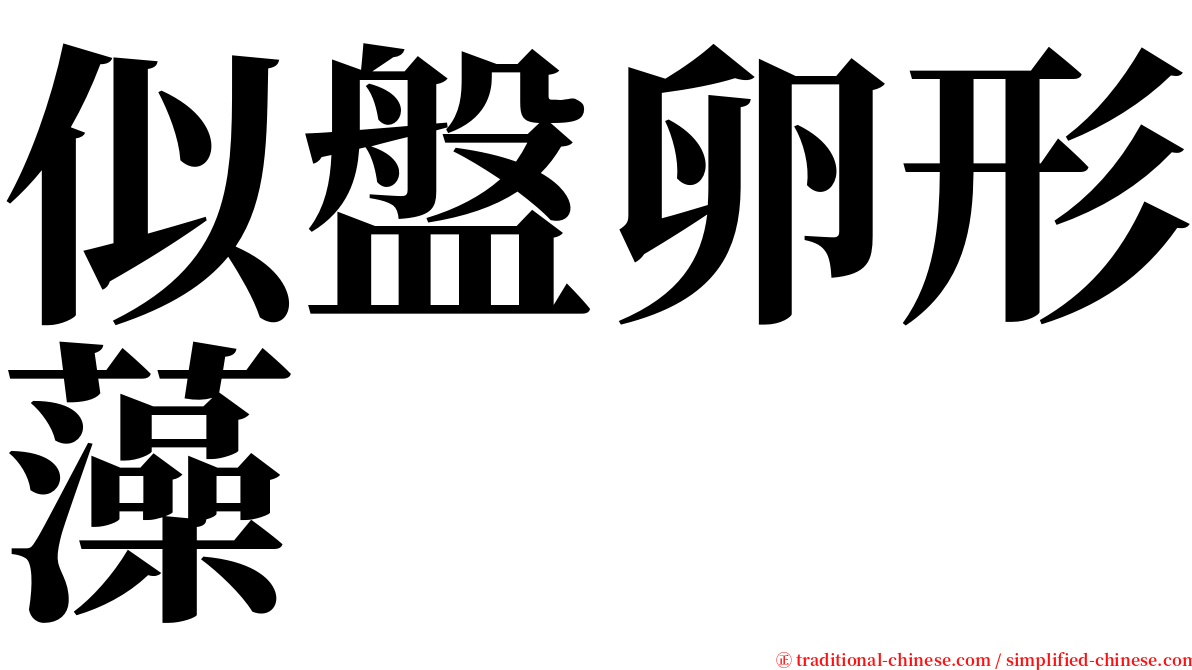 似盤卵形藻 serif font