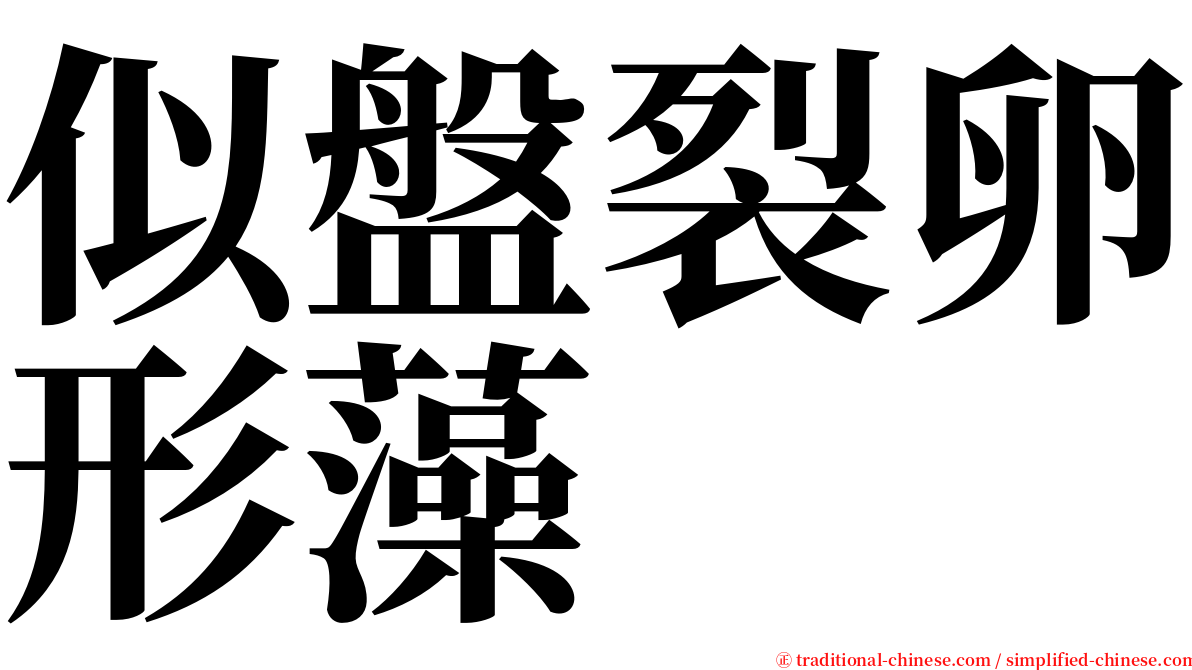 似盤裂卵形藻 serif font