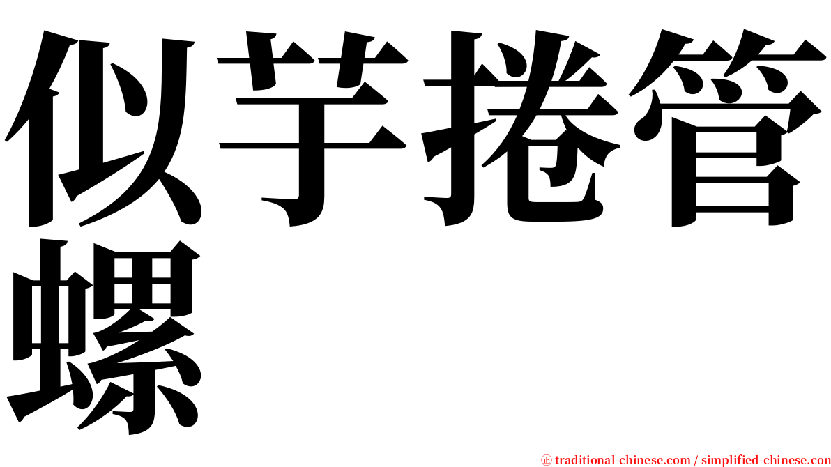 似芋捲管螺 serif font