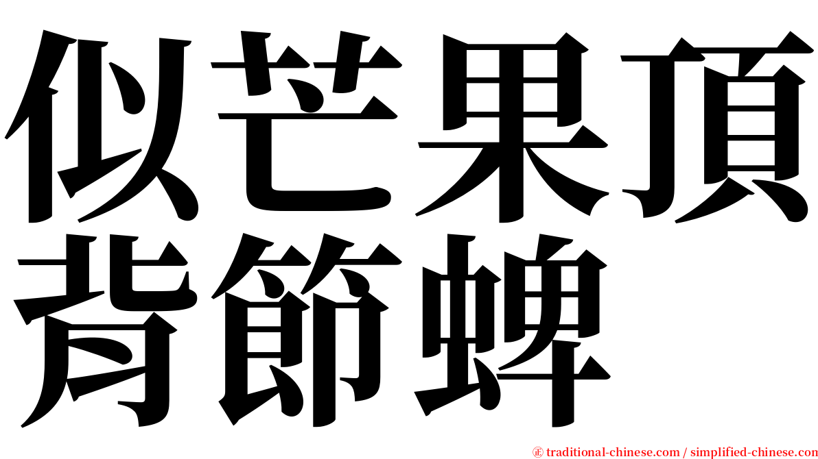 似芒果頂背節蜱 serif font