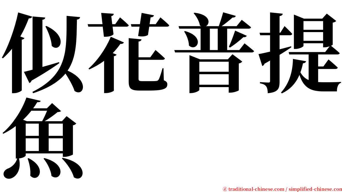 似花普提魚 serif font