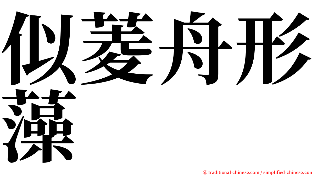 似菱舟形藻 serif font