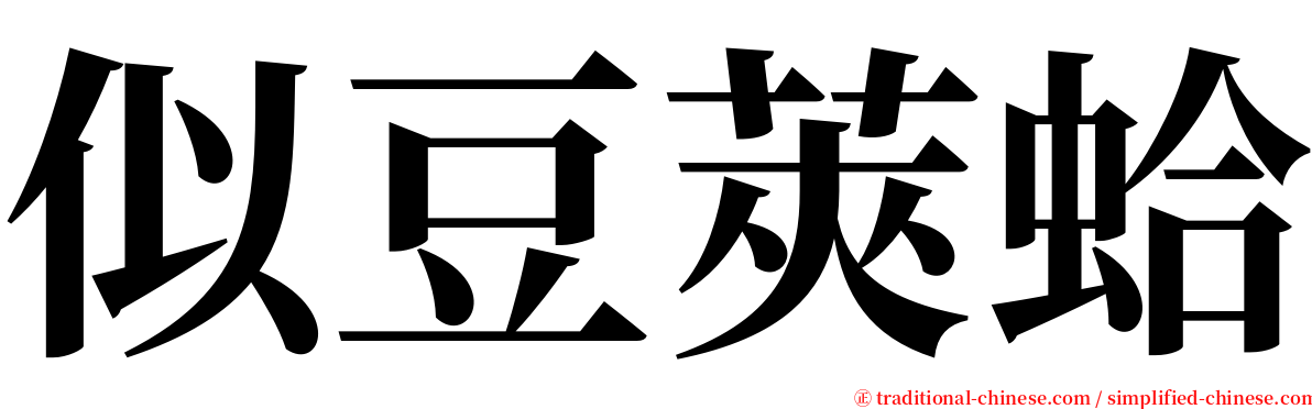 似豆莢蛤 serif font