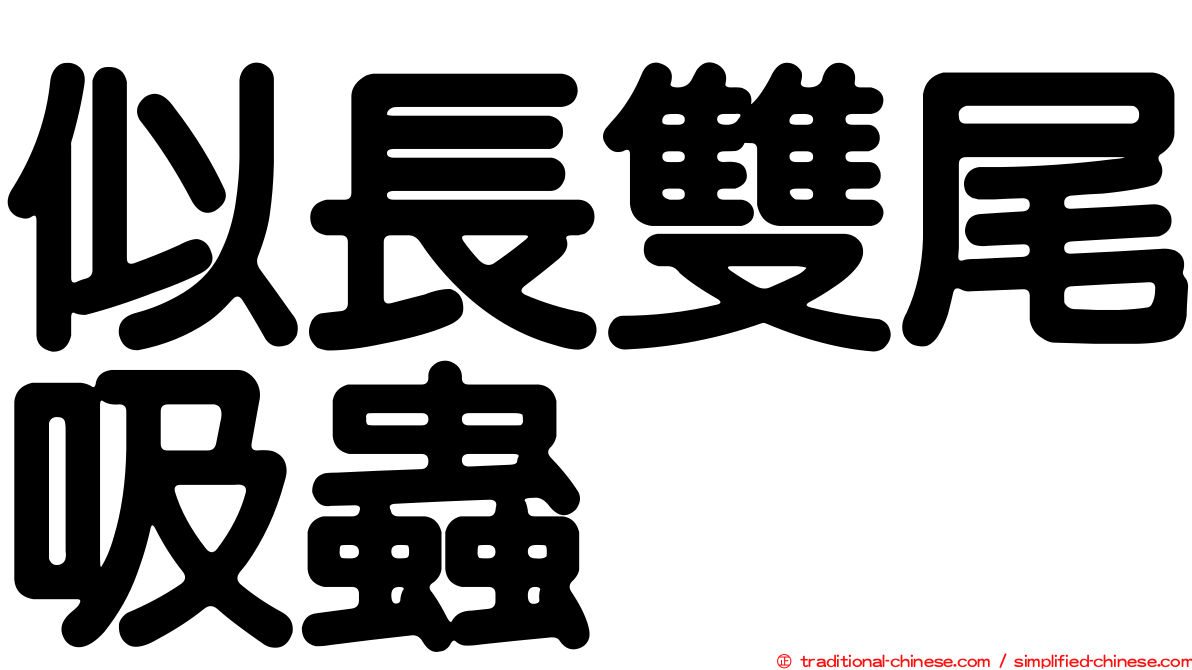 似長雙尾吸蟲