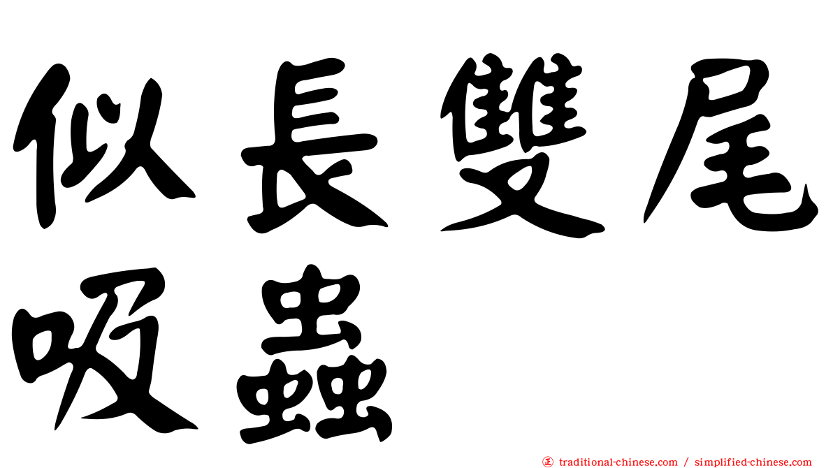 似長雙尾吸蟲