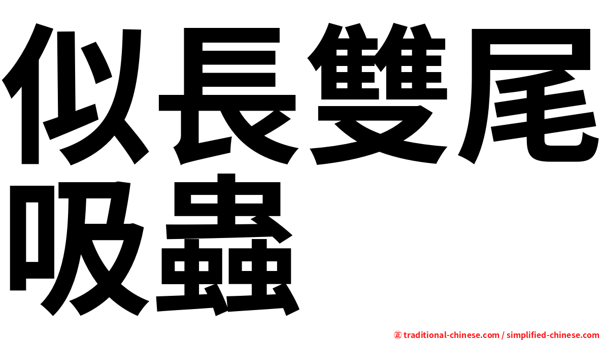 似長雙尾吸蟲