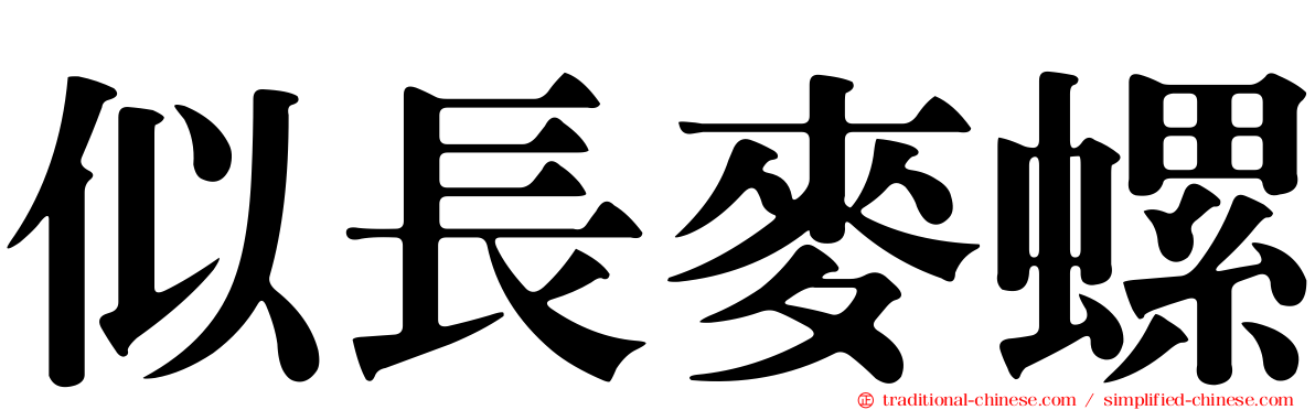似長麥螺