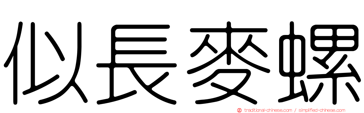 似長麥螺