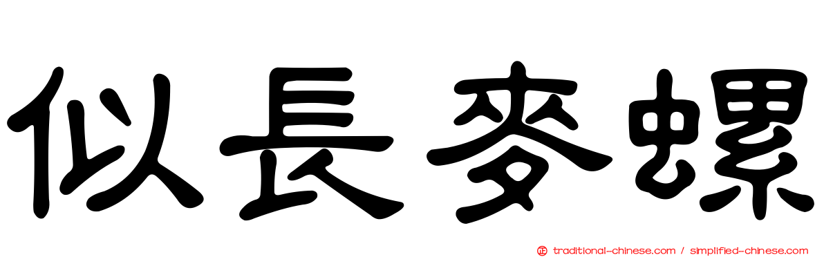 似長麥螺