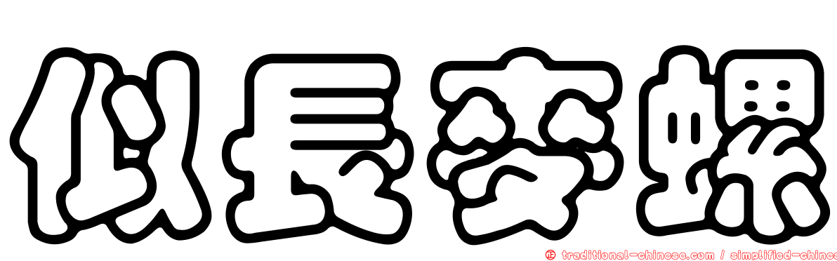 似長麥螺