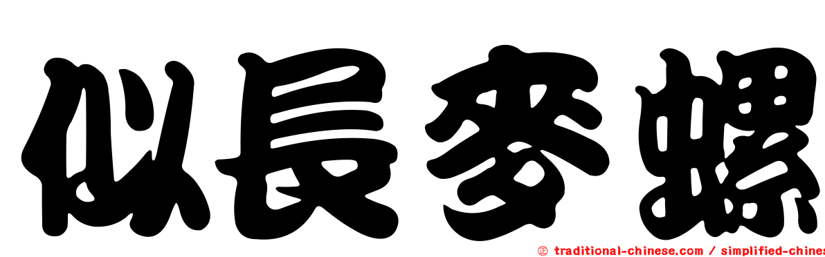 似長麥螺