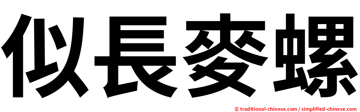 似長麥螺